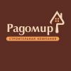 llc_radomir
